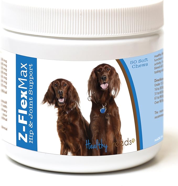 Irish Setter