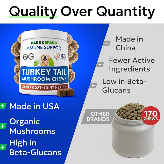 Turkey Tail Mushroom + Glucosamine