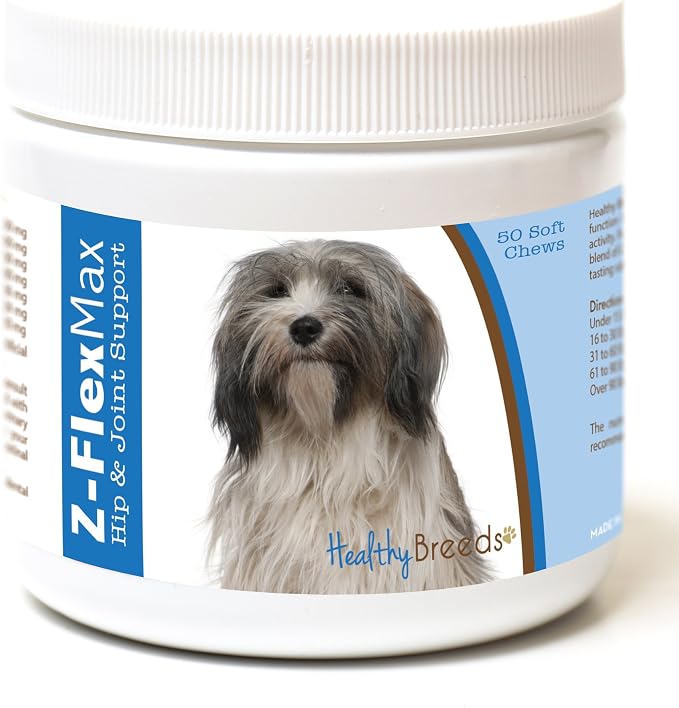 Tibetan Terrier