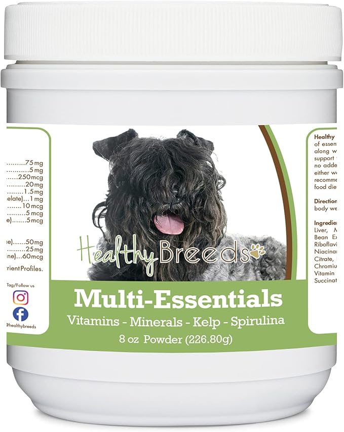 Kerry Blue Terrier