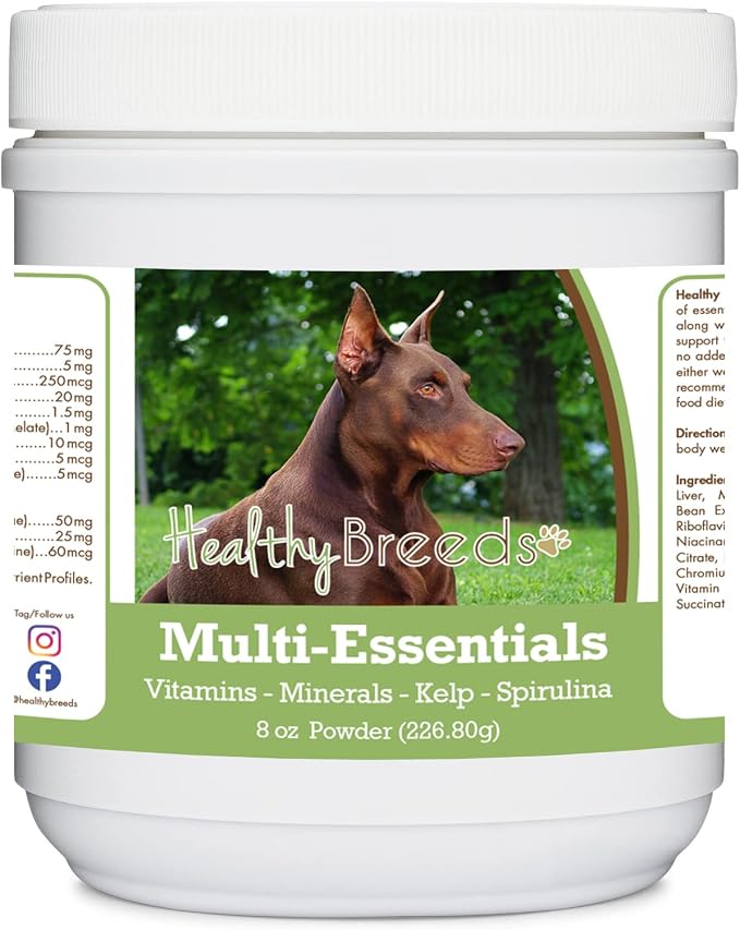 Doberman Pinscher, Red