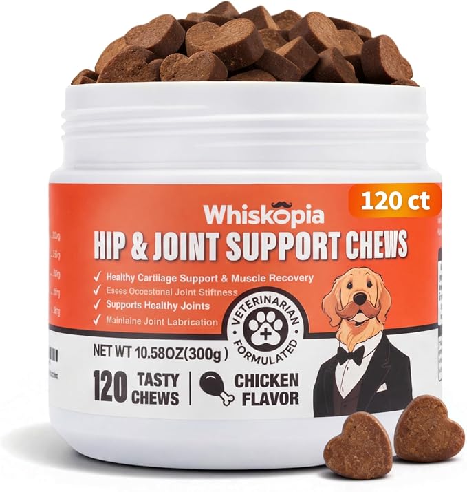 Hip & Joint