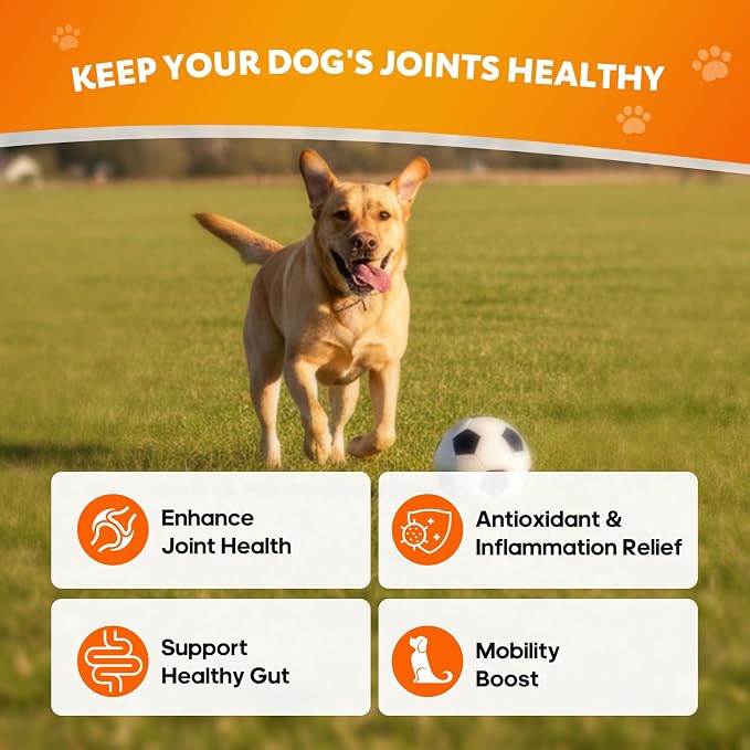 Hip & Joint