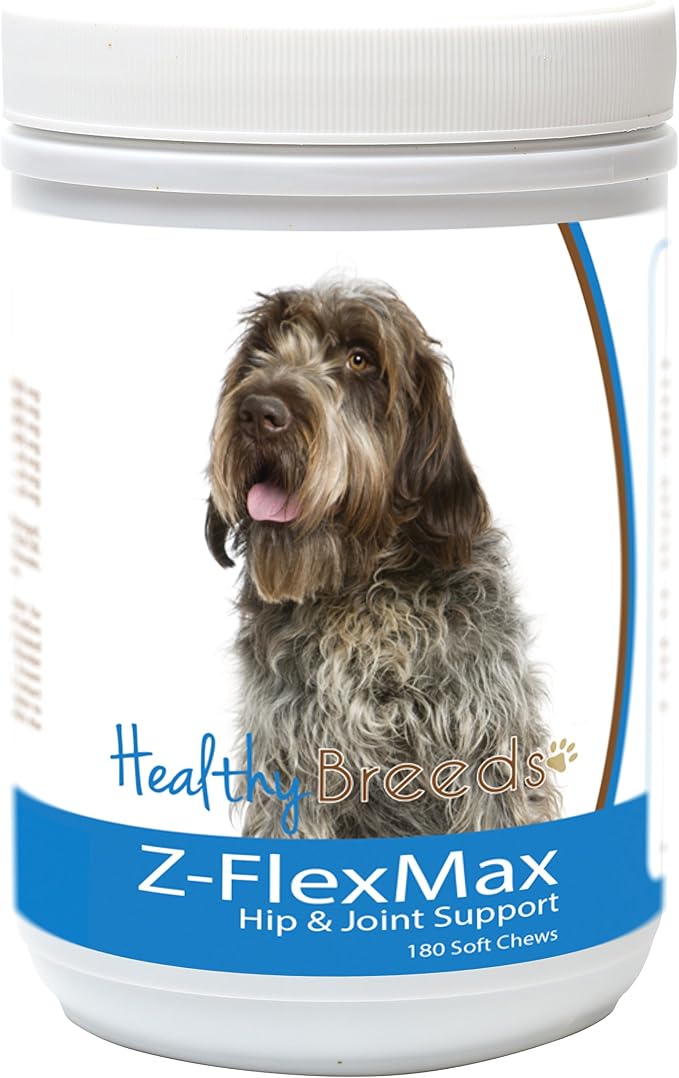 Wirehaired Pointing Griffon