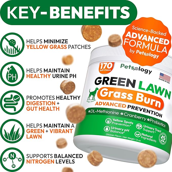 Green Lawn Chews