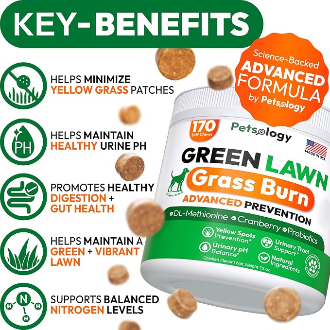 Green Lawn Chews