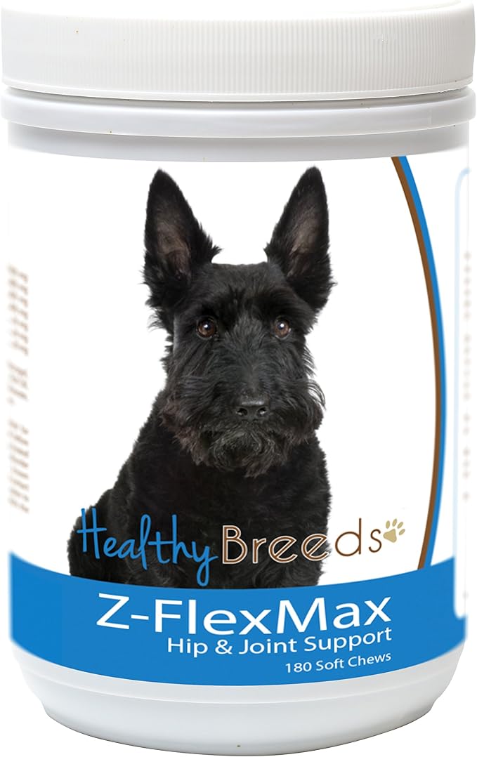Scottish Terrier