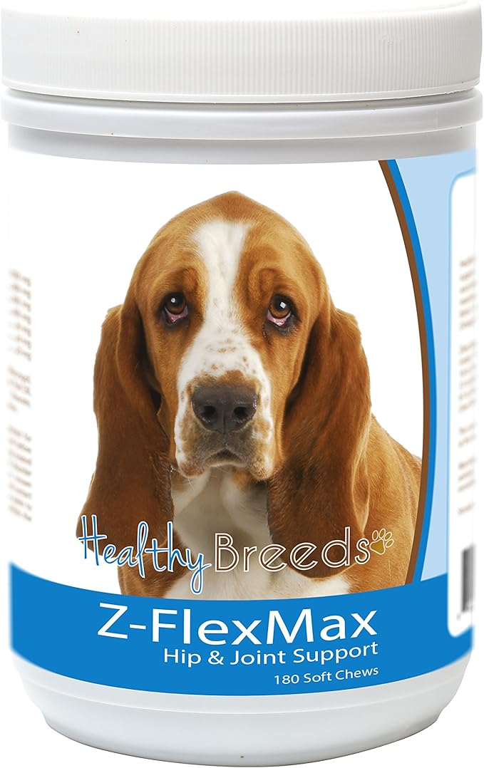 Basset Hound
