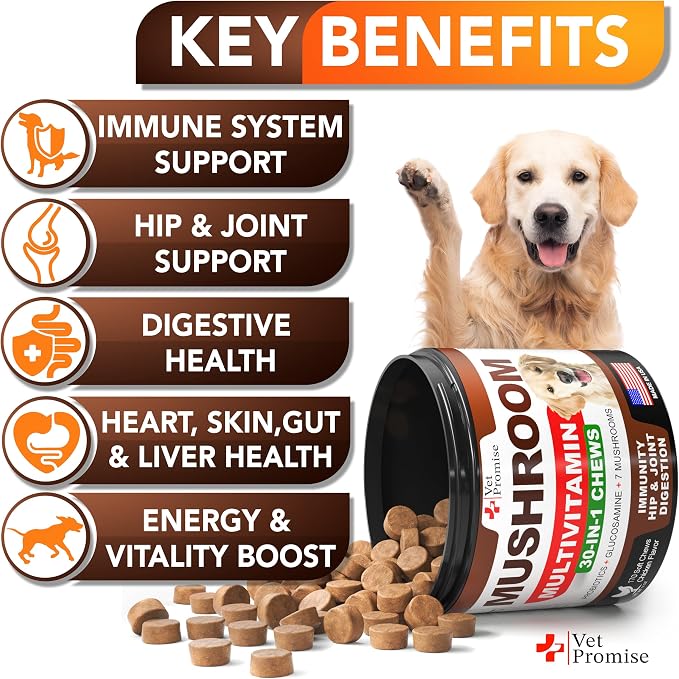 Mushroom Chews