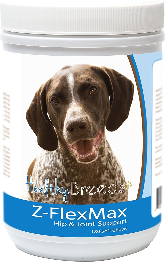 German Shorthaired Pointer