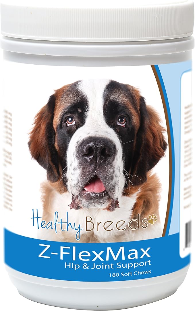 Saint Bernard