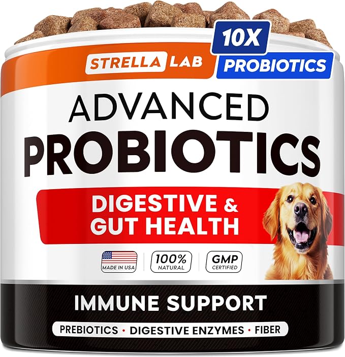 Probiotic Chews