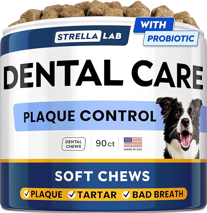 Dental Care Probiotic