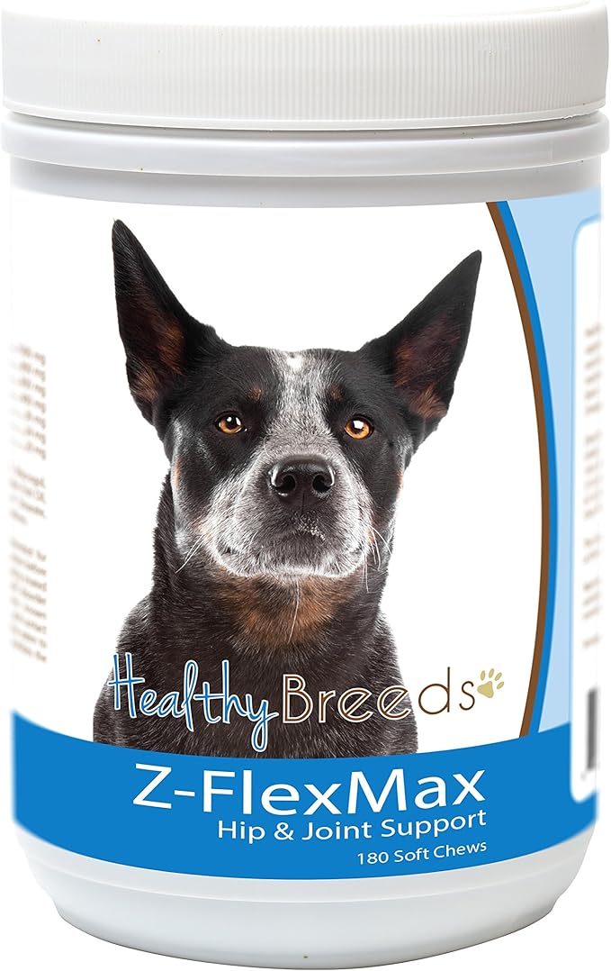 Australian Cattle Dog