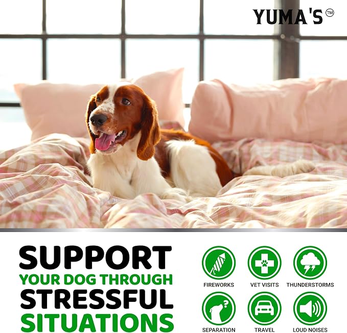 Calming Chews