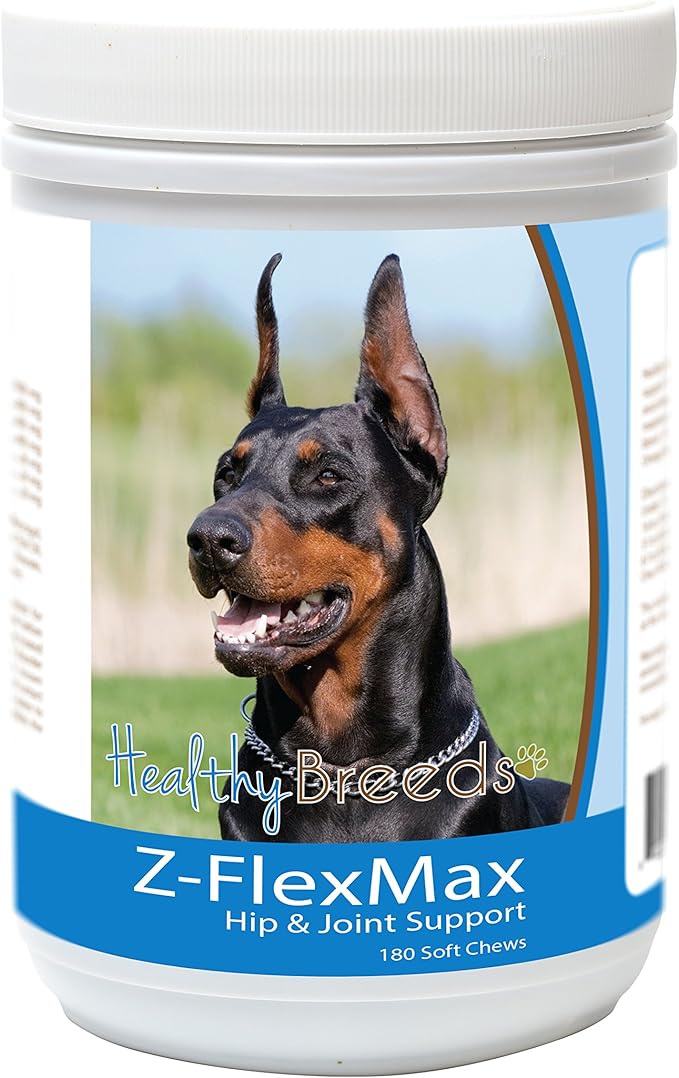 Doberman Pinscher, Black