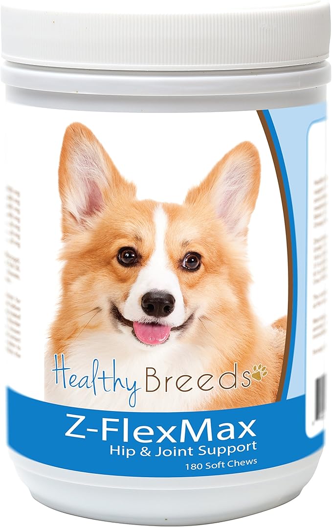 Pembroke Welsh Corgi