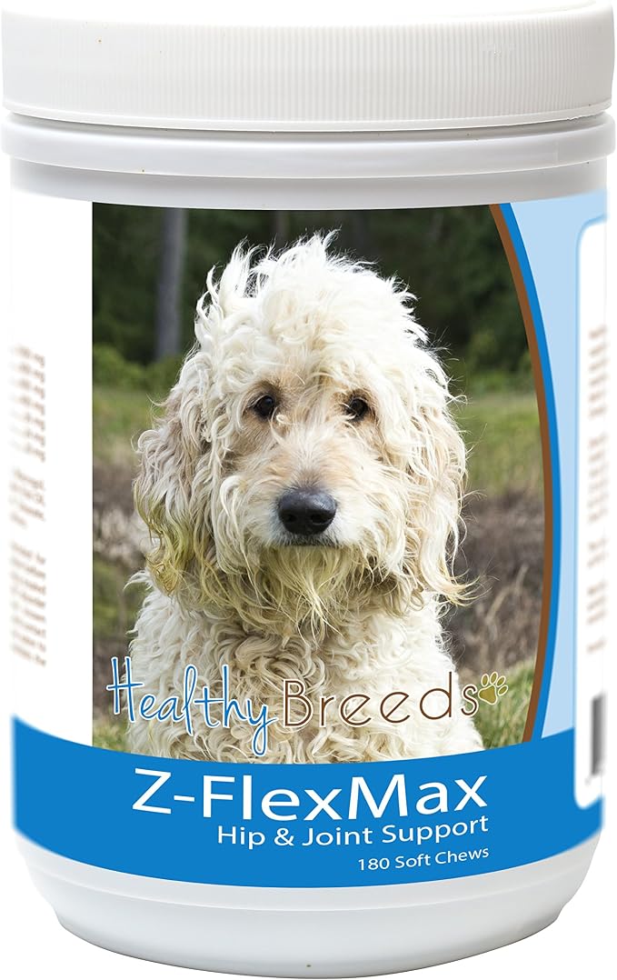 Goldendoodle, White