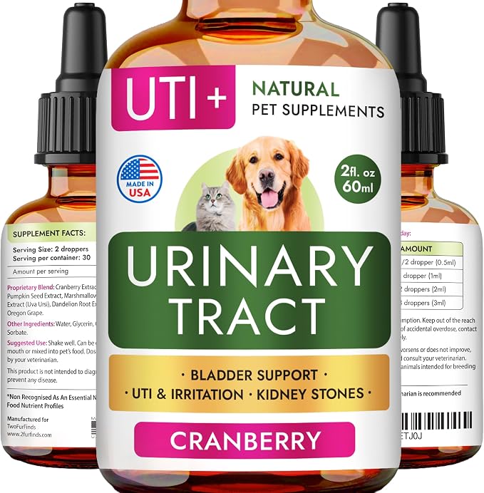 UTI