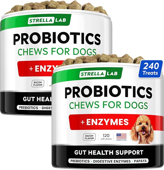 Probiotic Chews