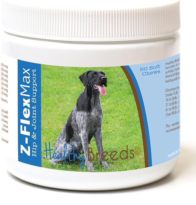 German Wirehaired Pointer