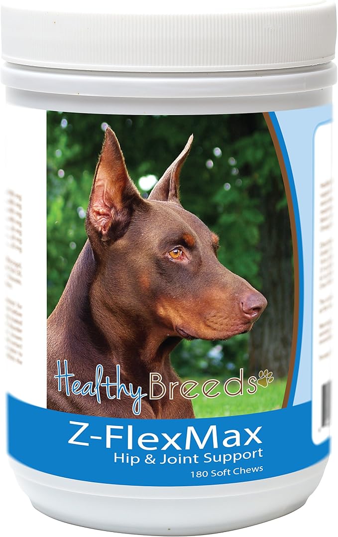 Doberman Pinscher, Brown