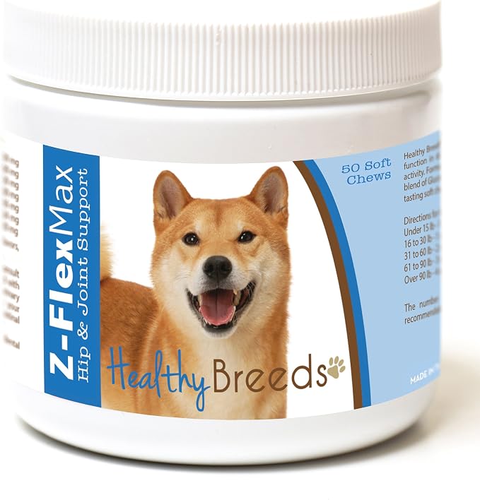 Shiba Inu