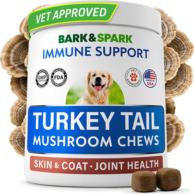 Turkey Tail Mushroom + Glucosamine