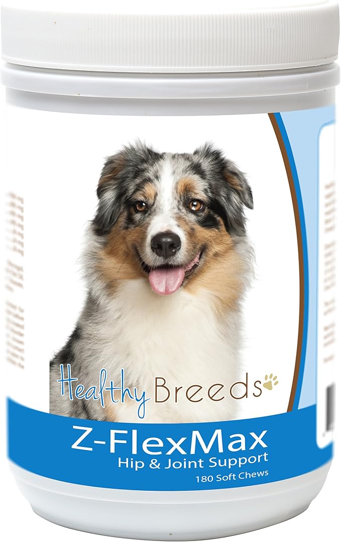 Australian Shepherd