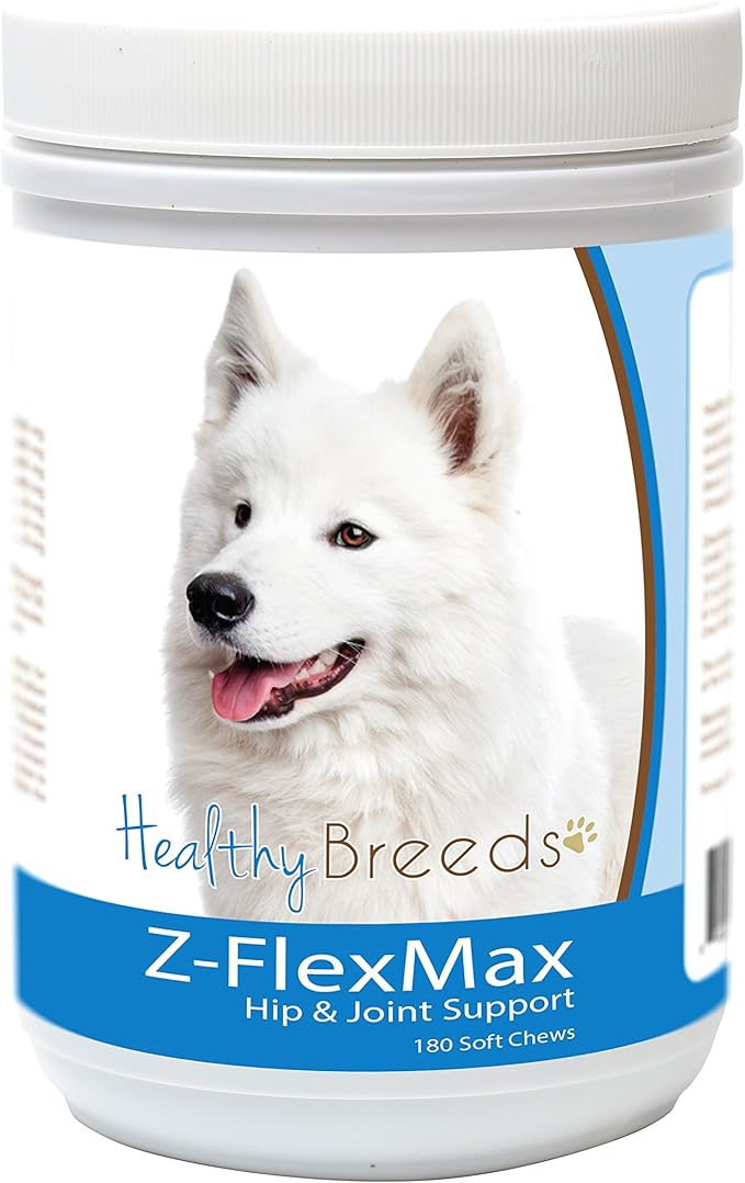 Samoyed