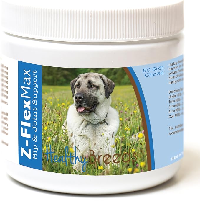 Anatolian Shepherd Dog