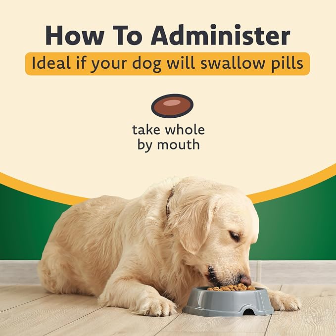 Medium to Large Dogs (11+ lbs)