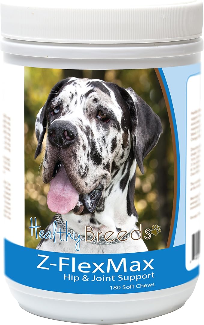 Great Dane