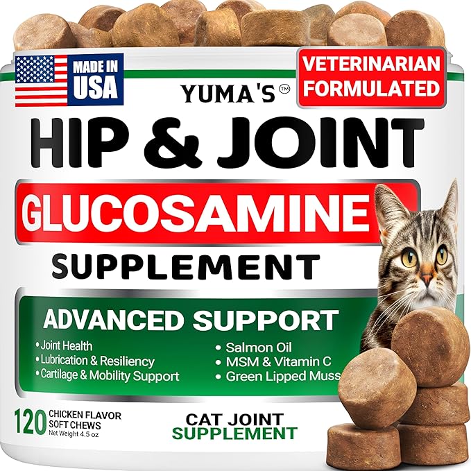 Cat Hip & Joint