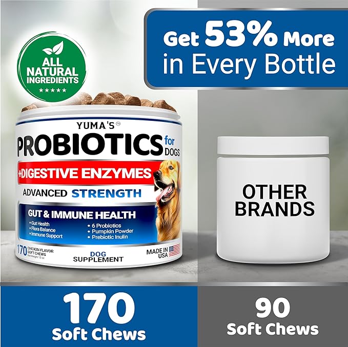 Probiotics + Enzymes