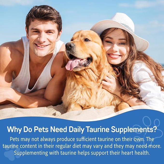 Taurine for Dogs & Cats