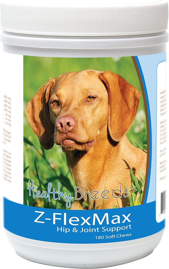 Vizsla