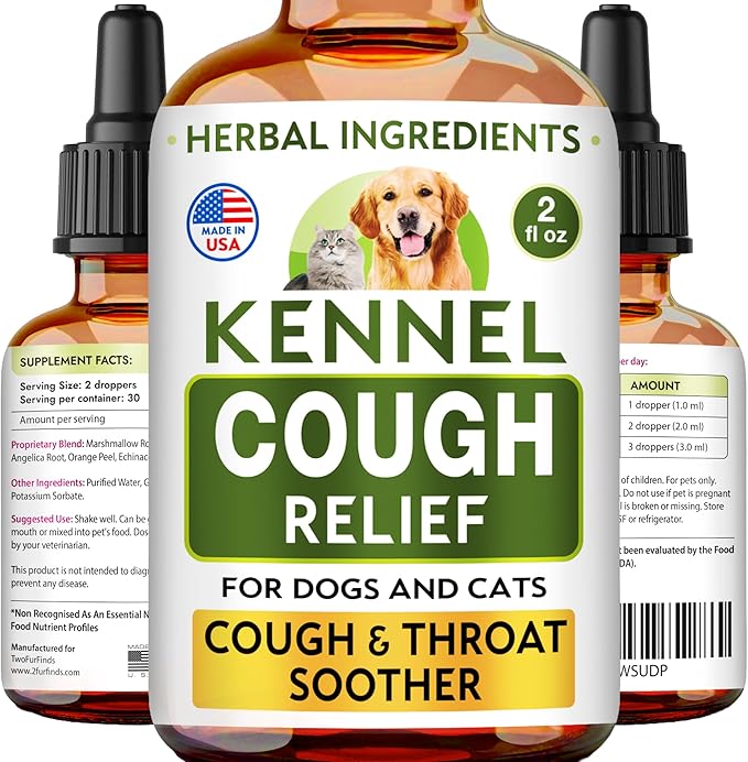 Kennel Cough