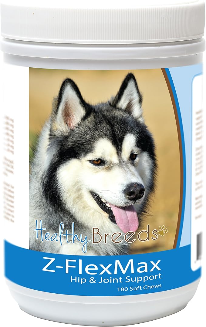 Siberian Husky