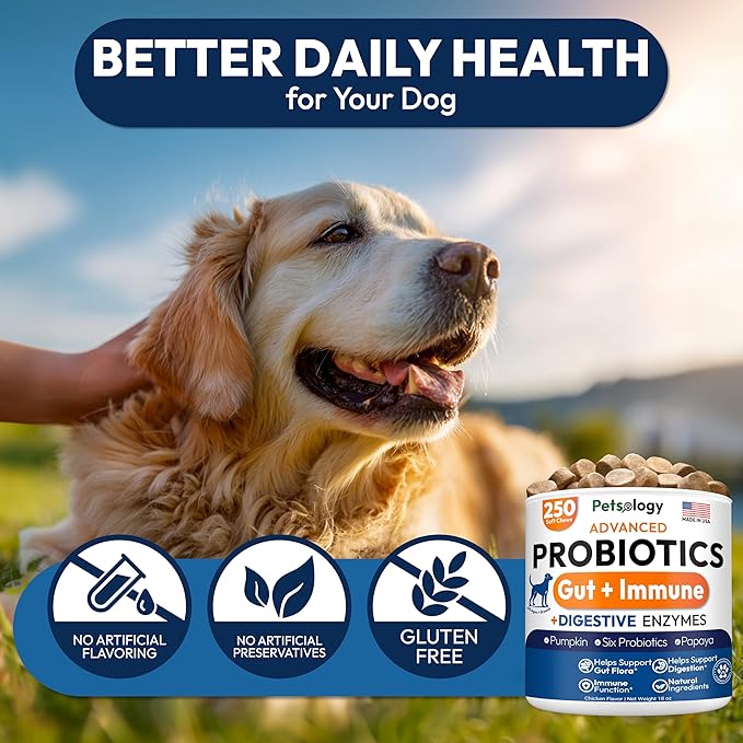 Probiotic Chews