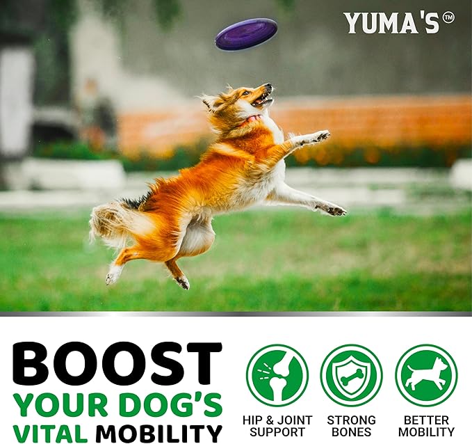 Glucosamine Chews