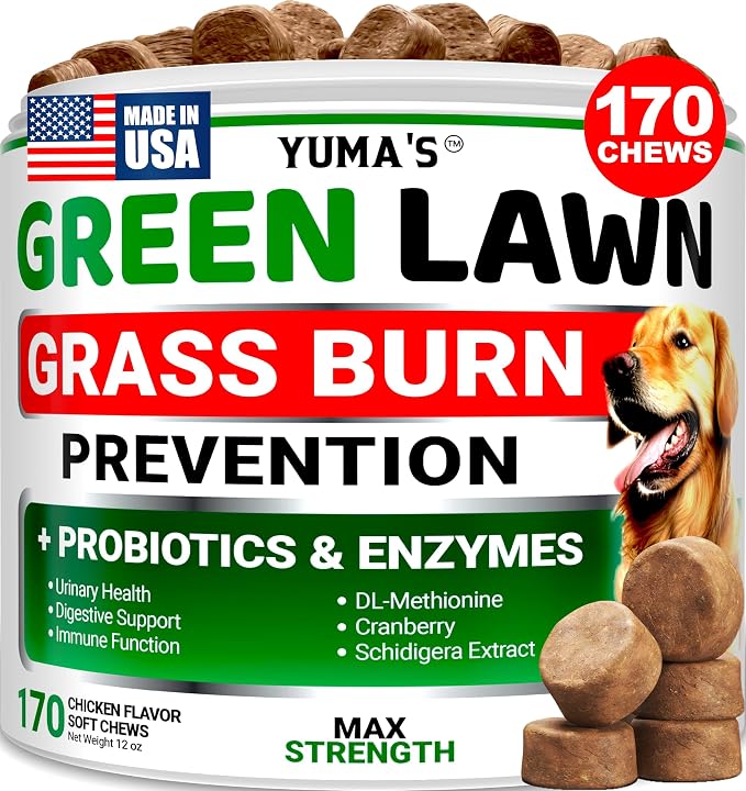 Green Lawn + Probiotic