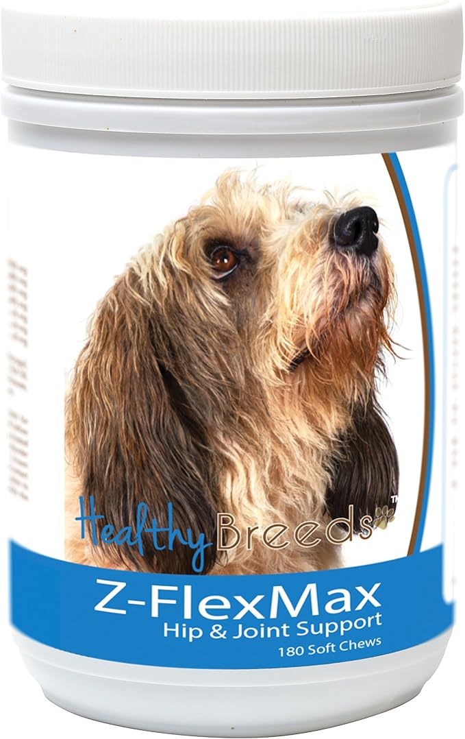 Petits Bassets Griffons Vendeen