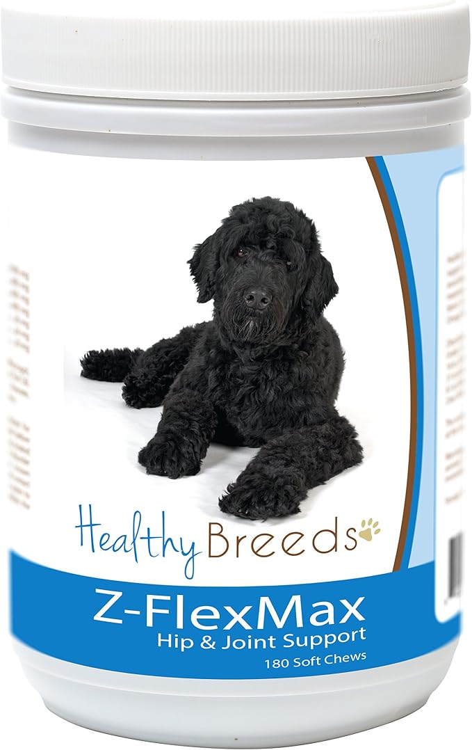 Portuguese Water Dog