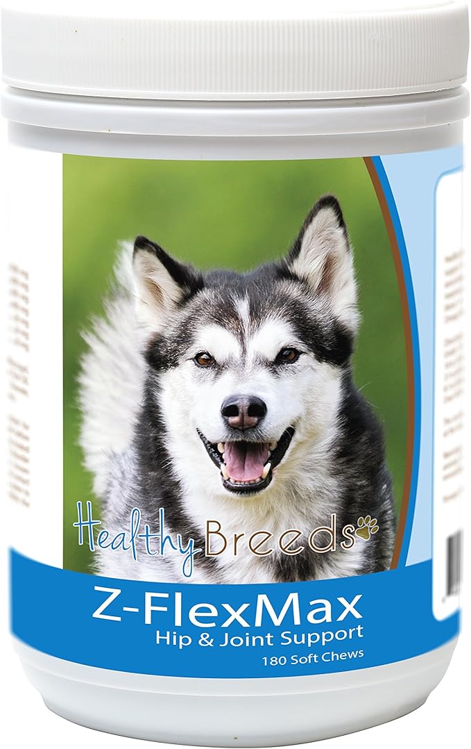 Alaskan Malamute