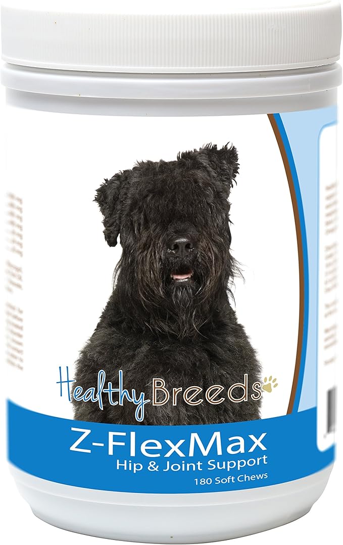 Bouvier des Flandres