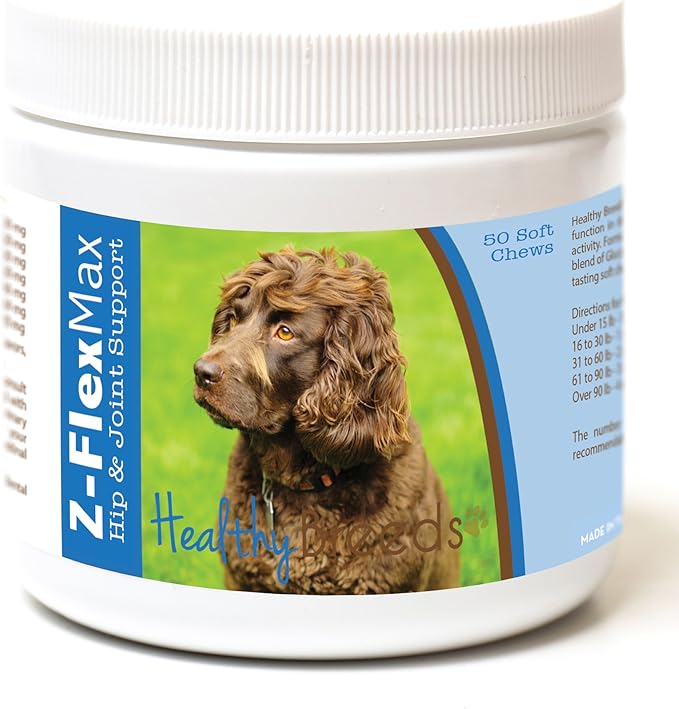 Boykin Spaniel