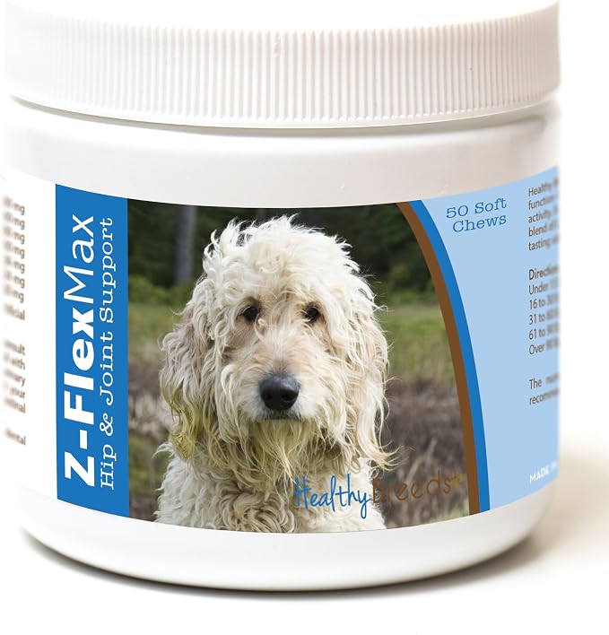 Goldendoodle, White