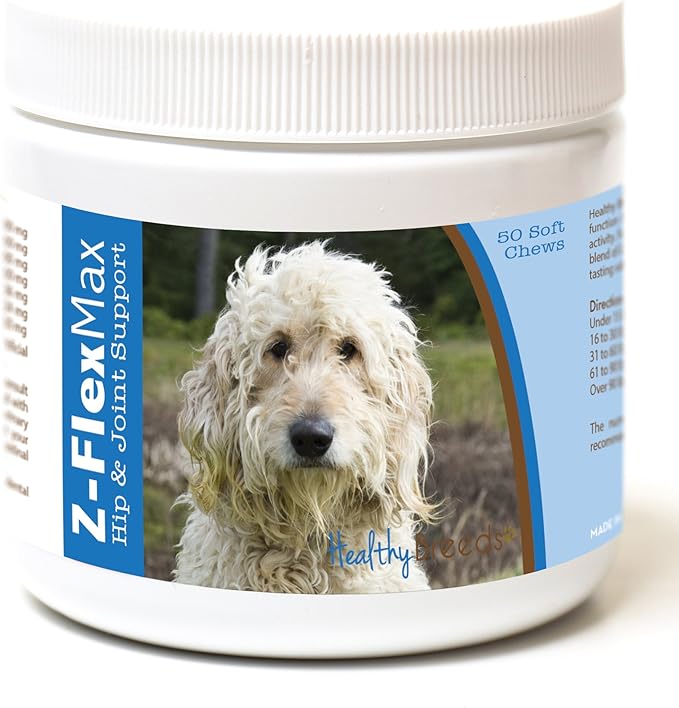 Goldendoodle, White