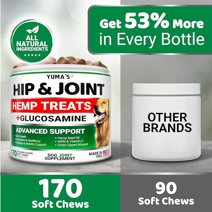 Hemp Hip & Joint Chews